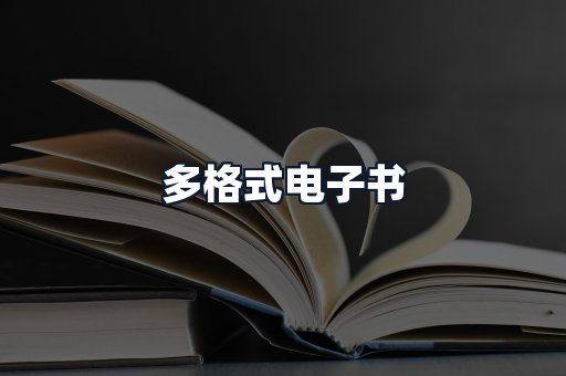 多格式电子书